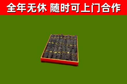 青岛回收海参